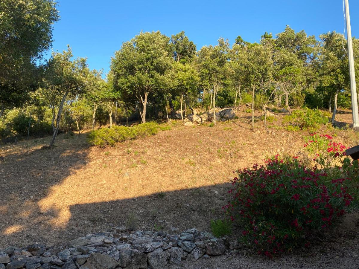 אולביה Li Paduleddi Country Guest House מראה חיצוני תמונה