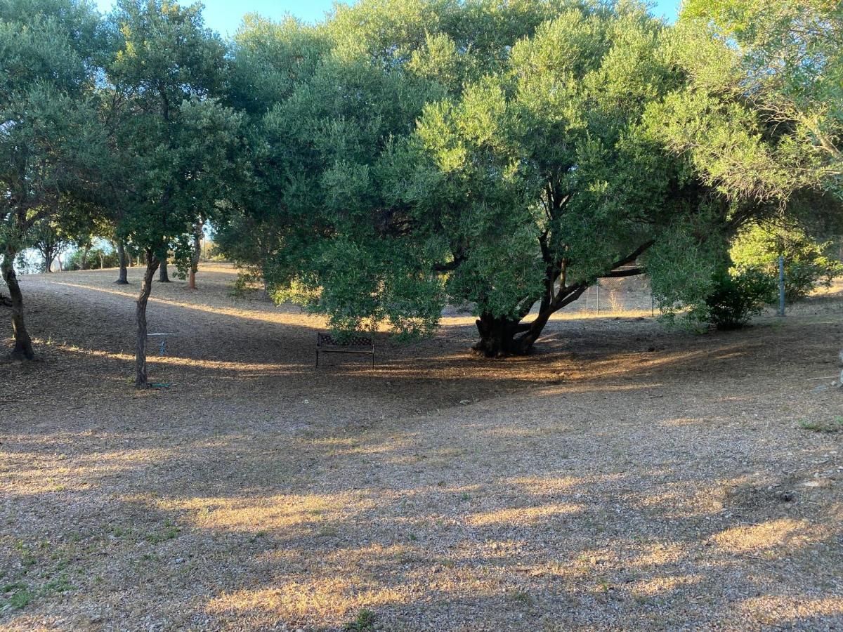 אולביה Li Paduleddi Country Guest House מראה חיצוני תמונה
