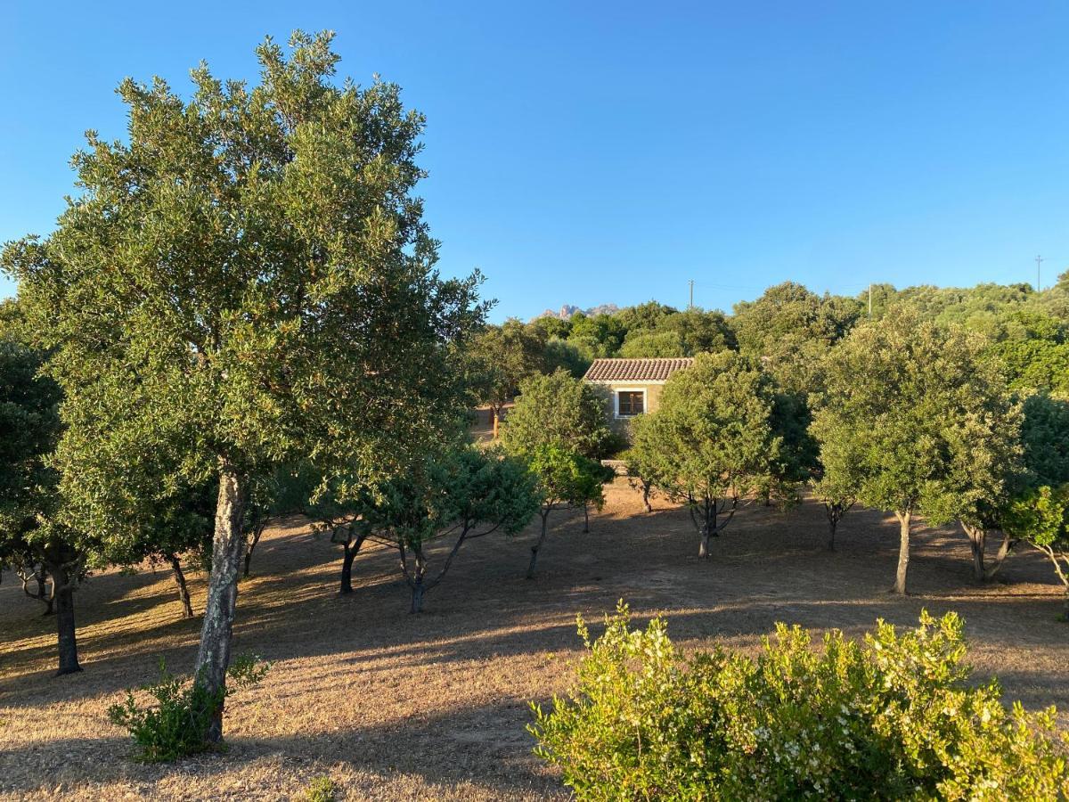 אולביה Li Paduleddi Country Guest House מראה חיצוני תמונה