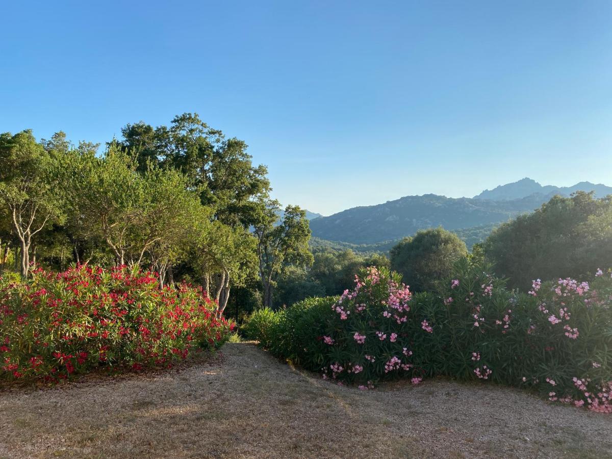 אולביה Li Paduleddi Country Guest House מראה חיצוני תמונה
