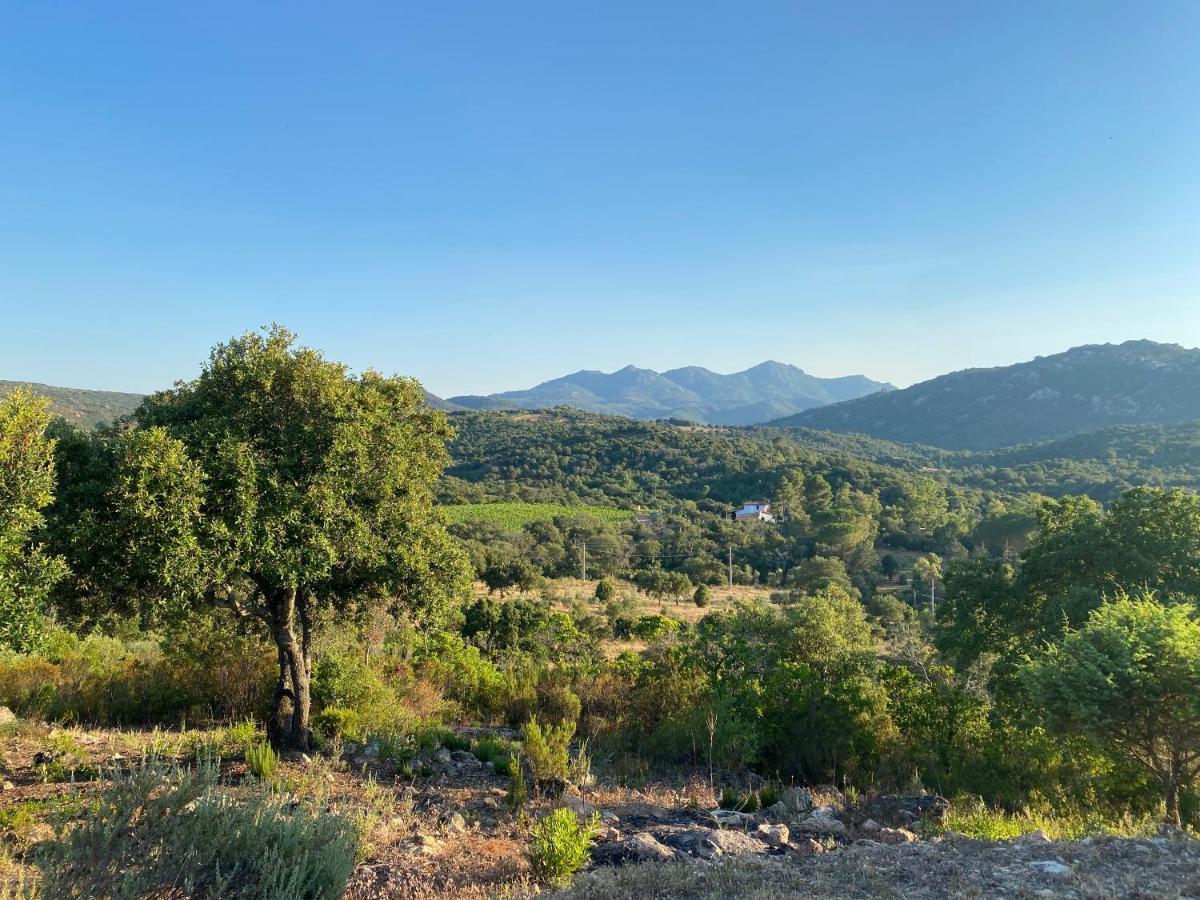 אולביה Li Paduleddi Country Guest House מראה חיצוני תמונה