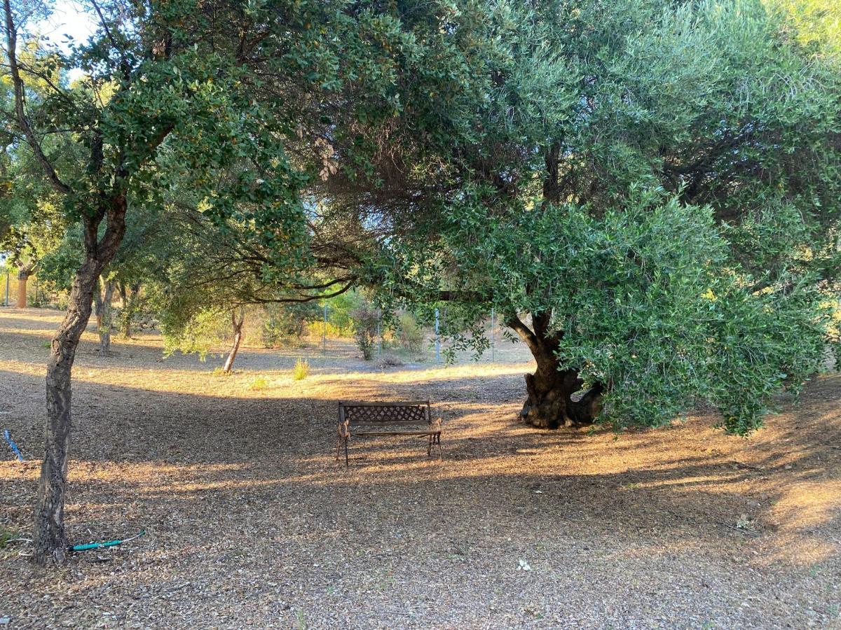 אולביה Li Paduleddi Country Guest House מראה חיצוני תמונה